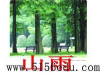 《山雨》ppt课件3