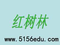 《红树林》ppt课件1