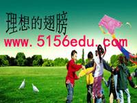 《理想的翅膀》ppt课件1