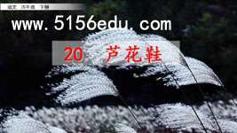 《芦花鞋》ppt课件2